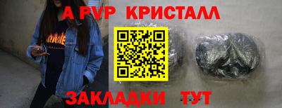 скорость Кингисепп