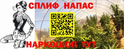 скорость Кингисепп