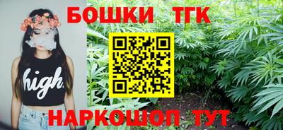 скорость Кингисепп