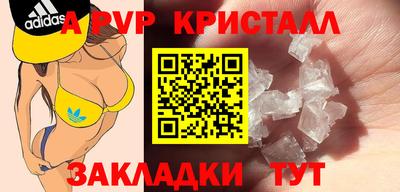скорость Кингисепп