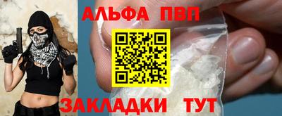 скорость Кингисепп