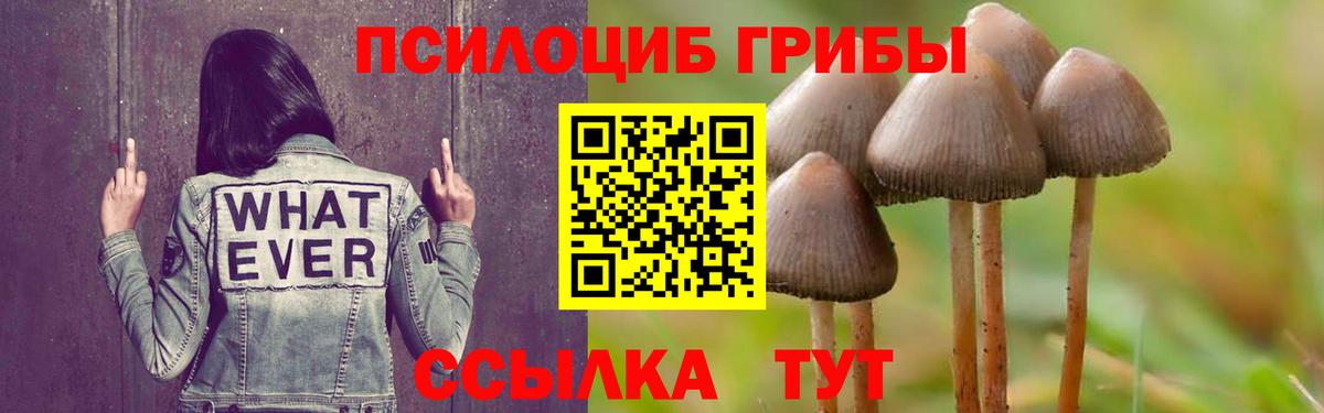 купить наркотик  Вход с VPN  Галлюциногенные грибы GOLDEN TEACHER  Комсомольск-на-Амуре  Галлюциногенные грибы GOLDEN TEACHER 